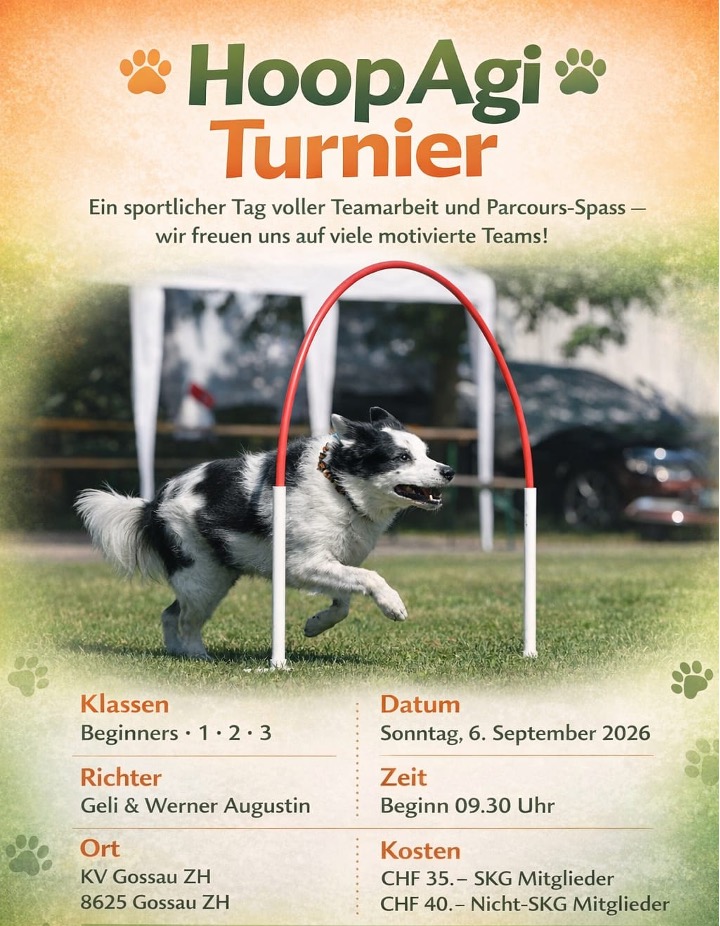 Flyer Hoopers Wettkampf 26 crop